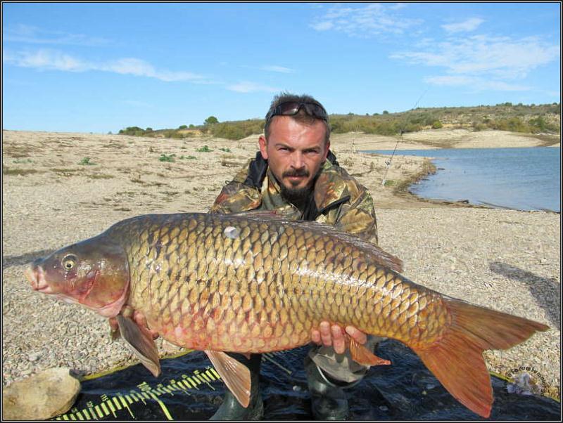 Karp 18kg z rzeki Ebro