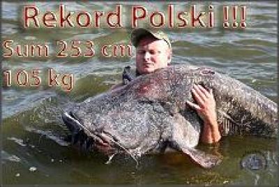Team sklepu Askari i nowy rekord Polski Sum 105kg 253cm