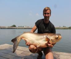 Mekong Catfish 150 