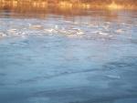 Rzeka San w zimie